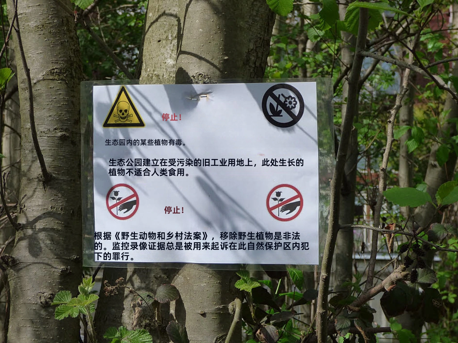 Translated sign with Chinese text overlaid in place