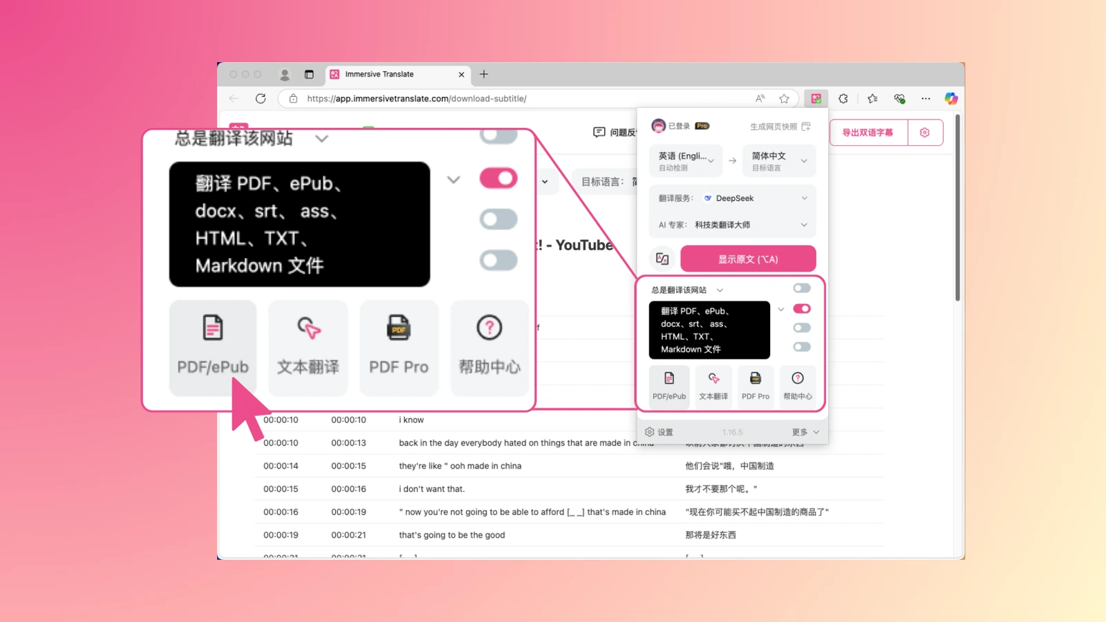 Immersive Translate document format picker