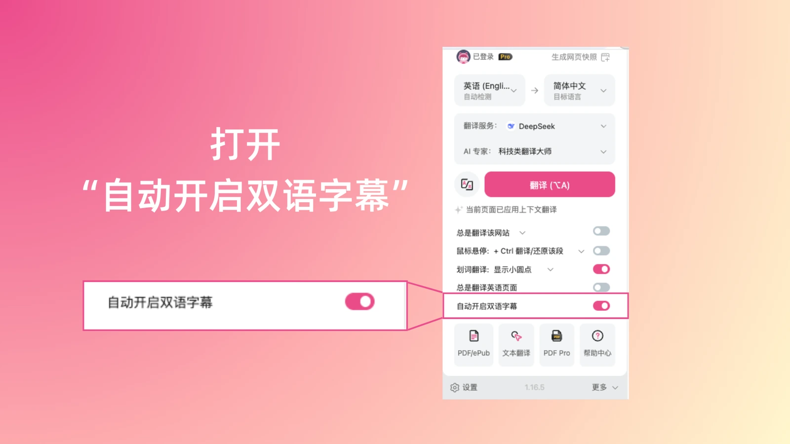 Immersive Translate subtitle settings