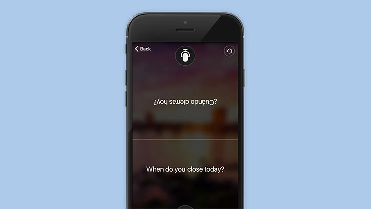 Microsoft Translator split-screen translation interface