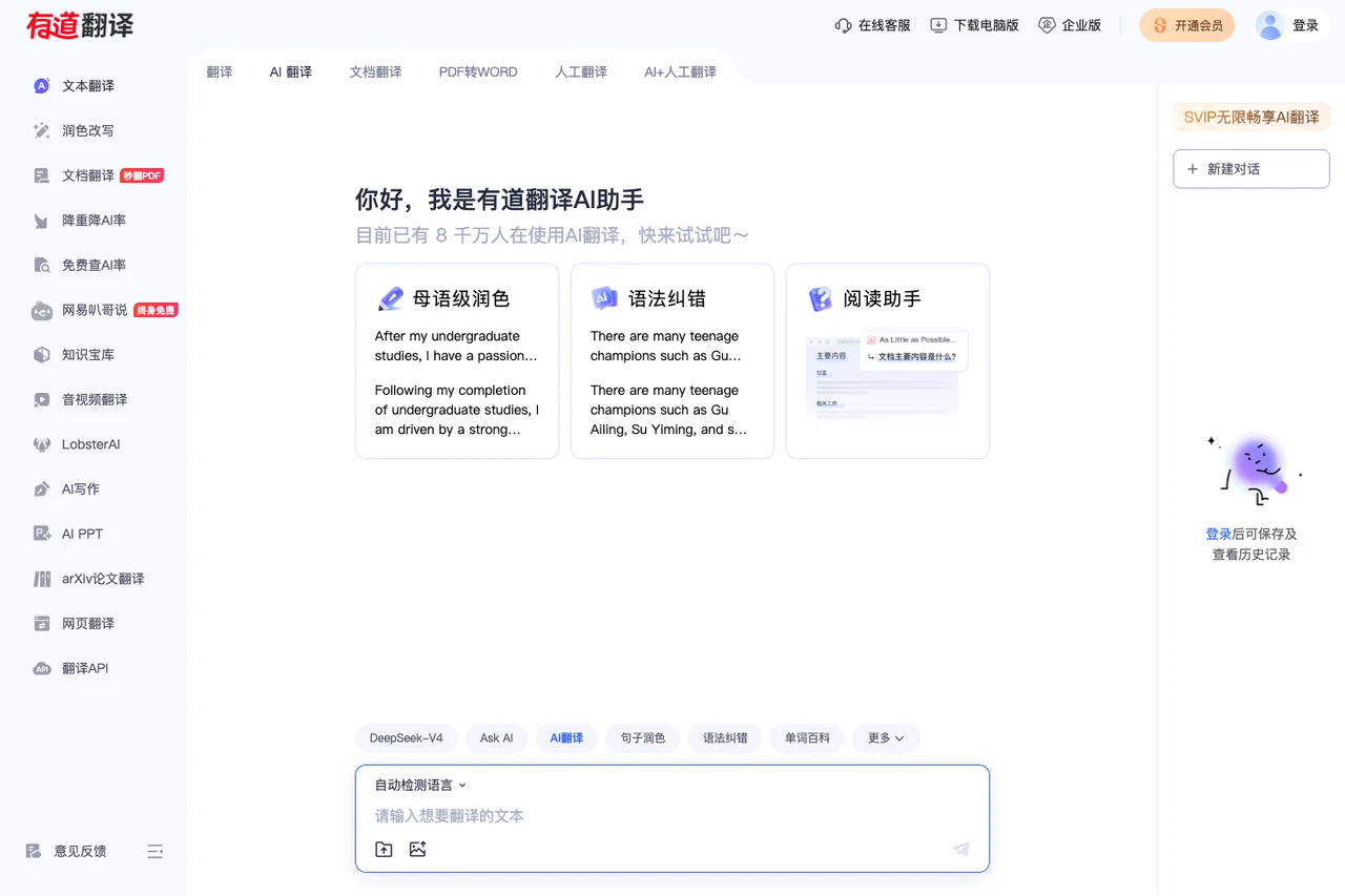 NetEase Youdao Translate official web workspace