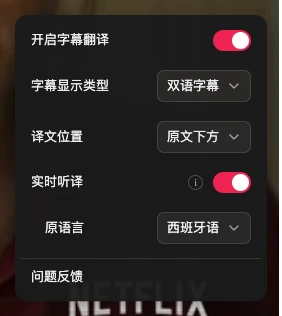 Subtitle control panel adjustment options