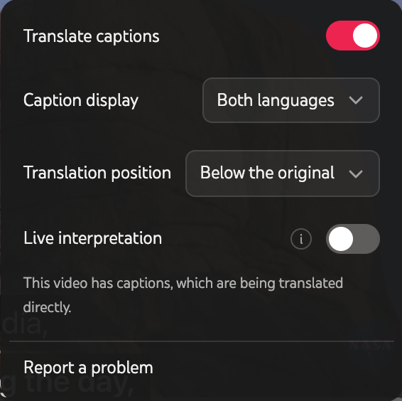 Equalang subtitle settings panel
